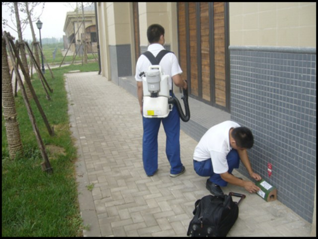 西安灭白蚁公司教你开启白蚁防治的重要方法