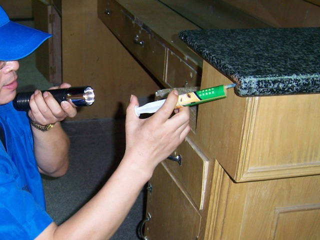 西安开展＂夏季灭老鼠服务＂保障群众健康安全