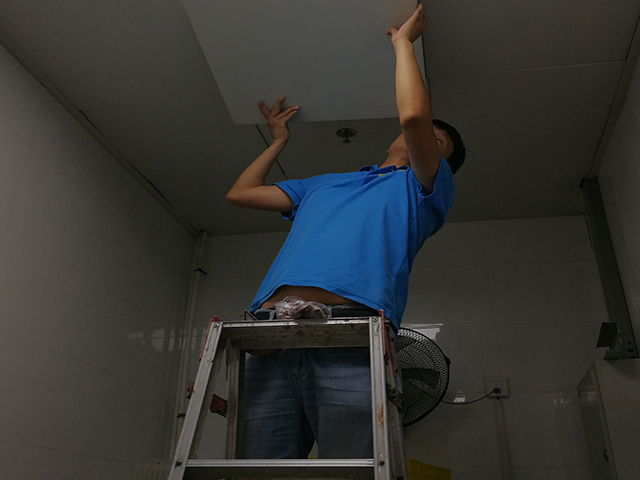 西安酒店灭老鼠四种技巧，帮你彻底解决鼠患烦