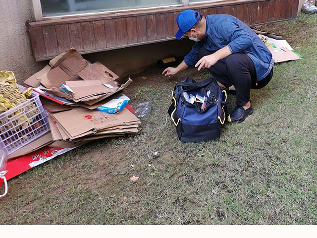 可恶的老鼠，我们怎么做才能远离老鼠的侵扰